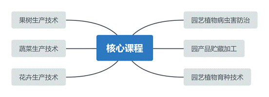 思维导图样式-经典